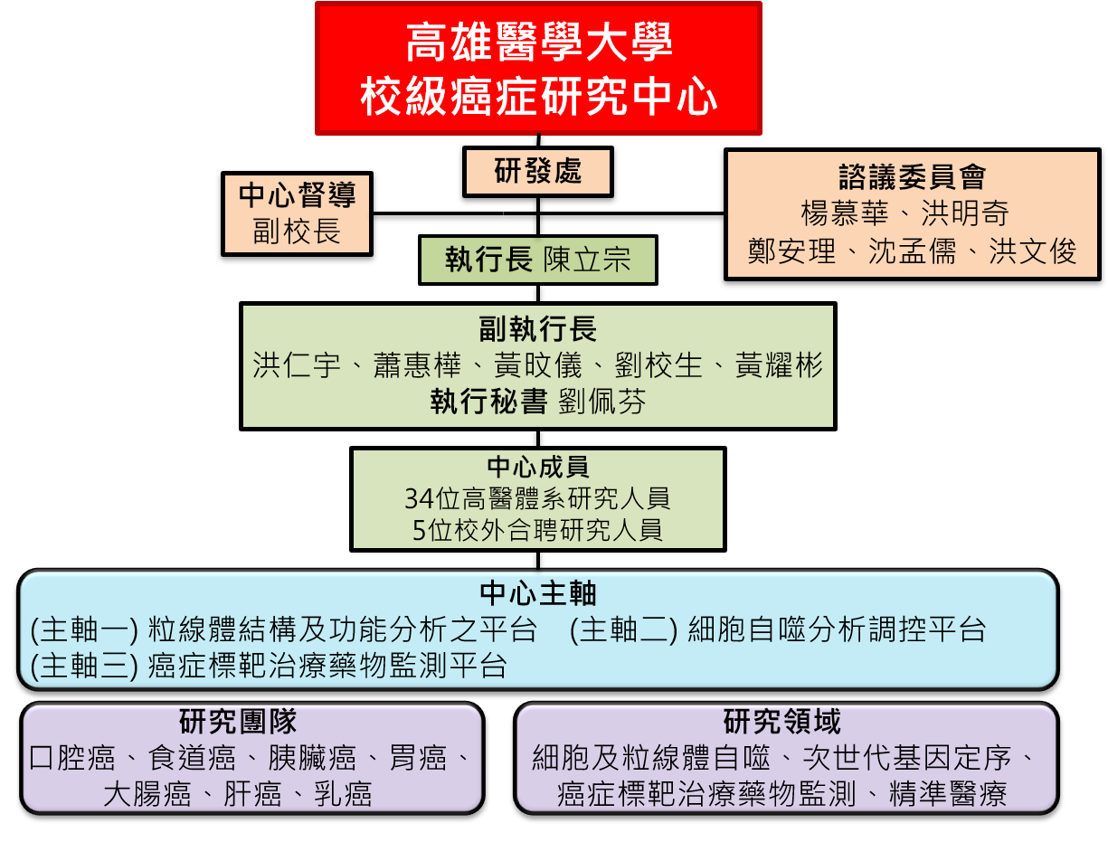 中心組織架構 113